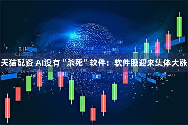 天猫配资 AI没有“杀死”软件：软件股迎来集体大涨