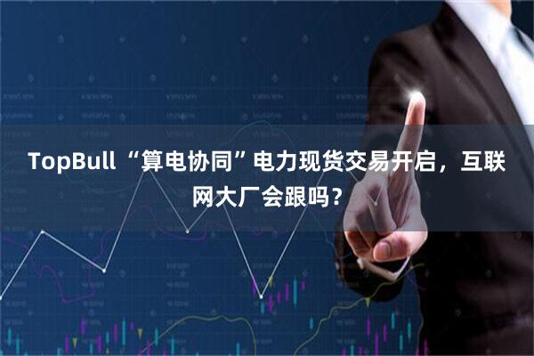 TopBull “算电协同”电力现货交易开启，互联网大厂会跟吗？