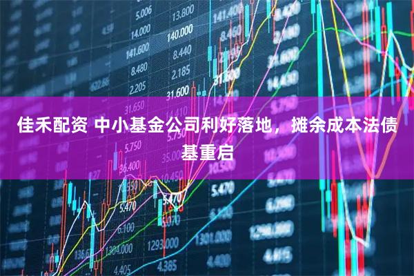 佳禾配资 中小基金公司利好落地，摊余成本法债基重启